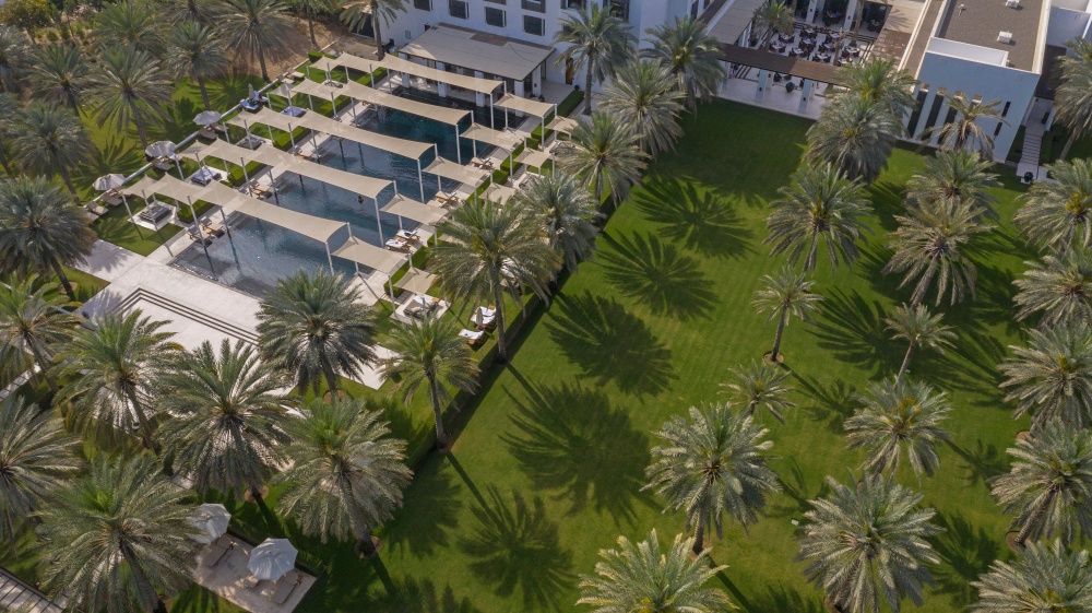 ) Palm Trees