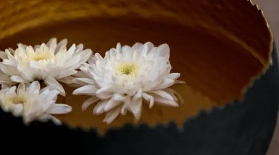 精油和香薰按摩：吉合睦 GHM 的水疗秘方