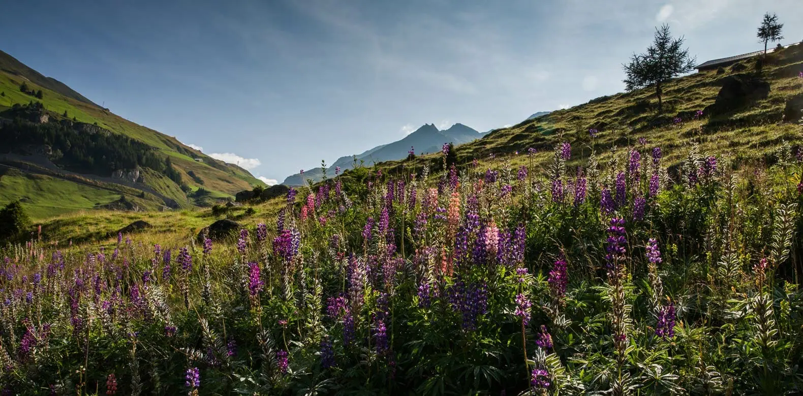 CAM SFP Destination Andermatt Summer Landscape021