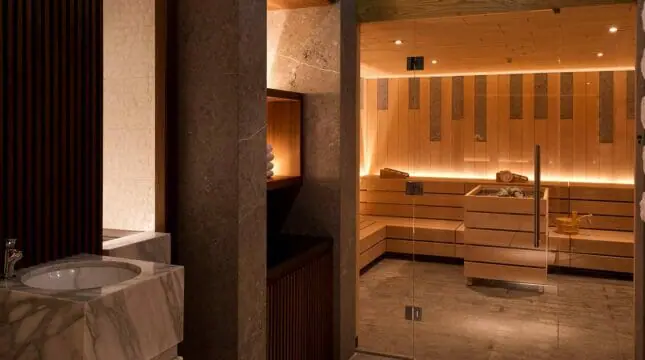 CAM Spa Fitness Sauna Room V 1