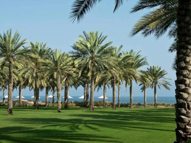 The Chedi Muscat - Gardens - GHM Hotels - Luxury Hotel Oman