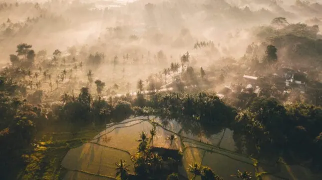 CTG GRishan Aerial Tanah Gajah Estate Dawn 01
