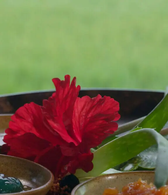 Spa Body Polish And Essential Oils At The Chedi Club Tanah Gajah