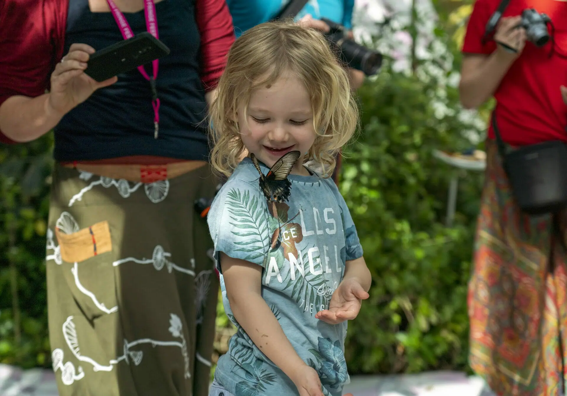 Butterfly Park - Al Noor Island - Sharjah