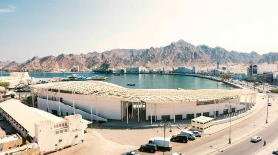 Landing Mackerel In Muscat