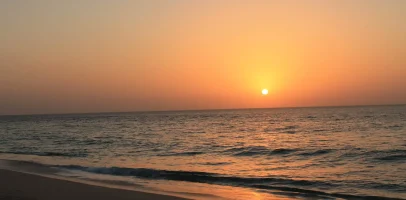 A Voyage From Ras Al Hadd To Muscat Through The Lens Of Tradition And Nature