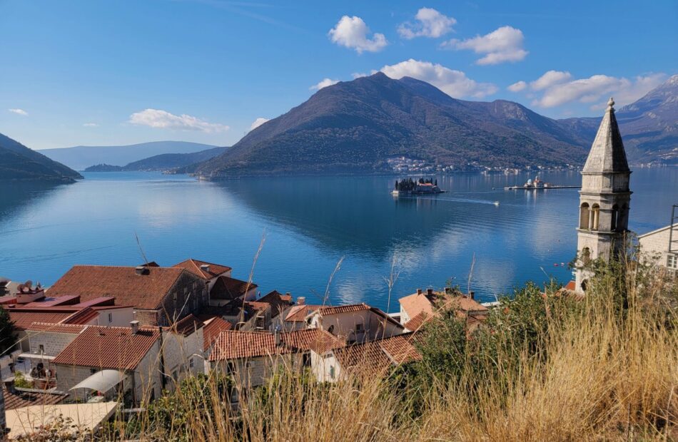 Unsplash Vladan Raznatovic